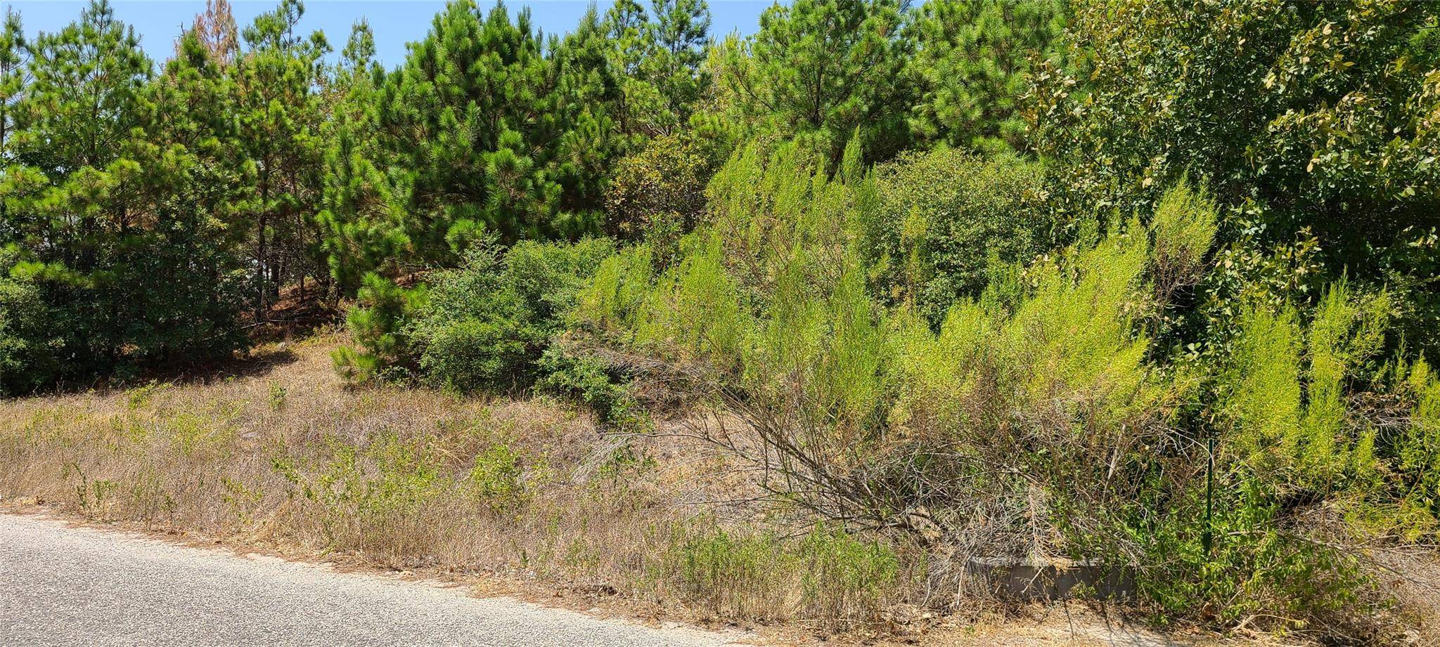 TBD Tall Forest DR, Bastrop, TX 78602