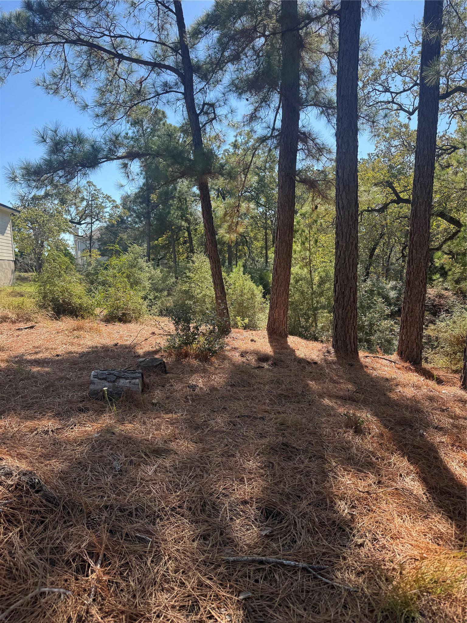 Lot 97 Kaelepulu DR, Bastrop, TX 78602