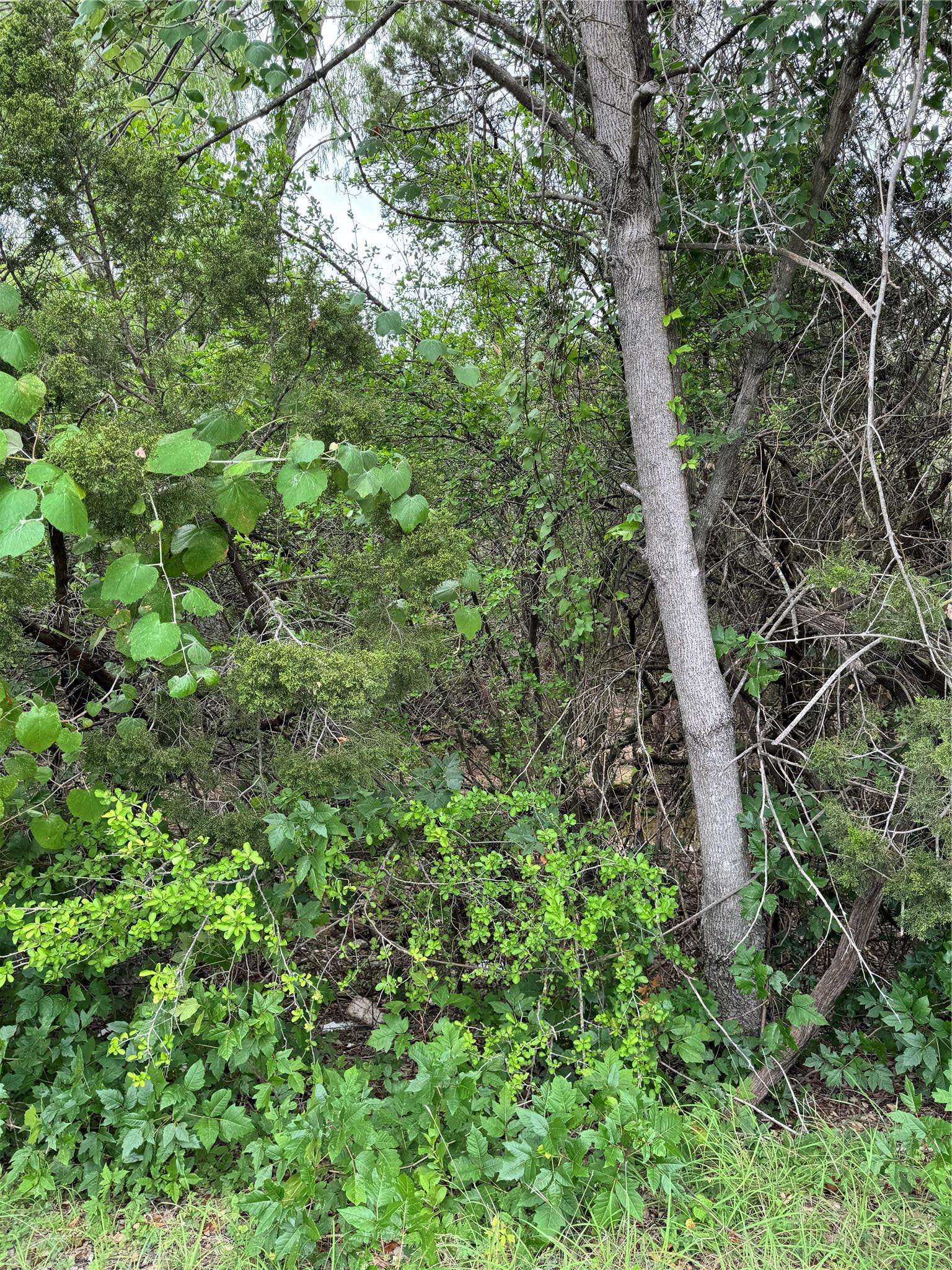 3201 Little Nolan RD, Killeen, TX 76542