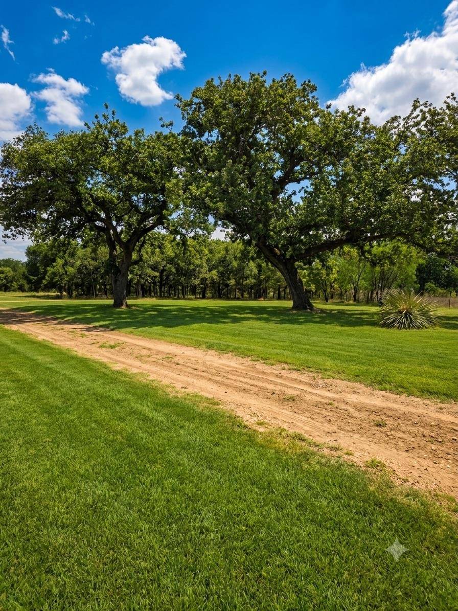925 Old Spanish TRL, Buchanan Dam, TX 78609