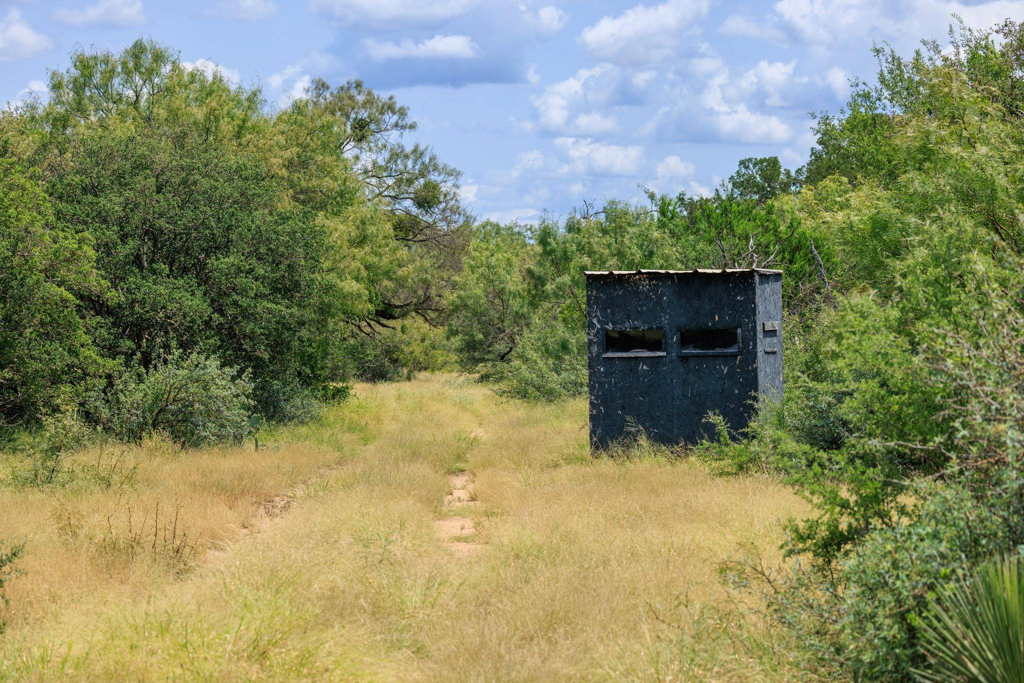 0 Ranch Road 648, Doss, TX 78618