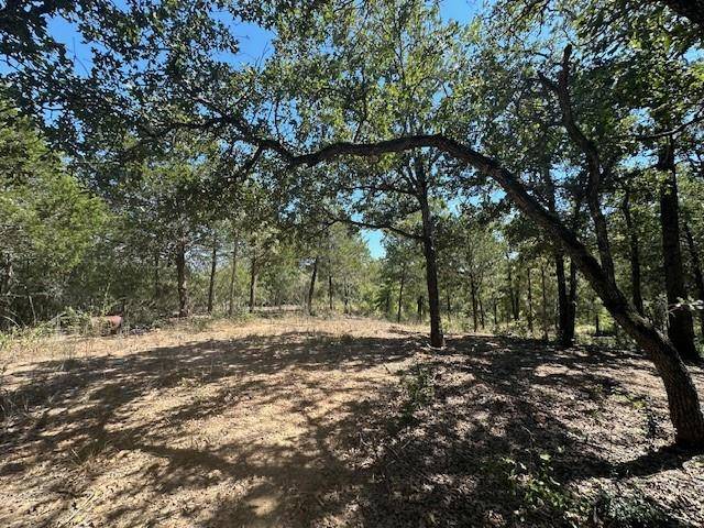 0 TBD lot 103 Ripple Brook DR, Bastrop, TX 78602