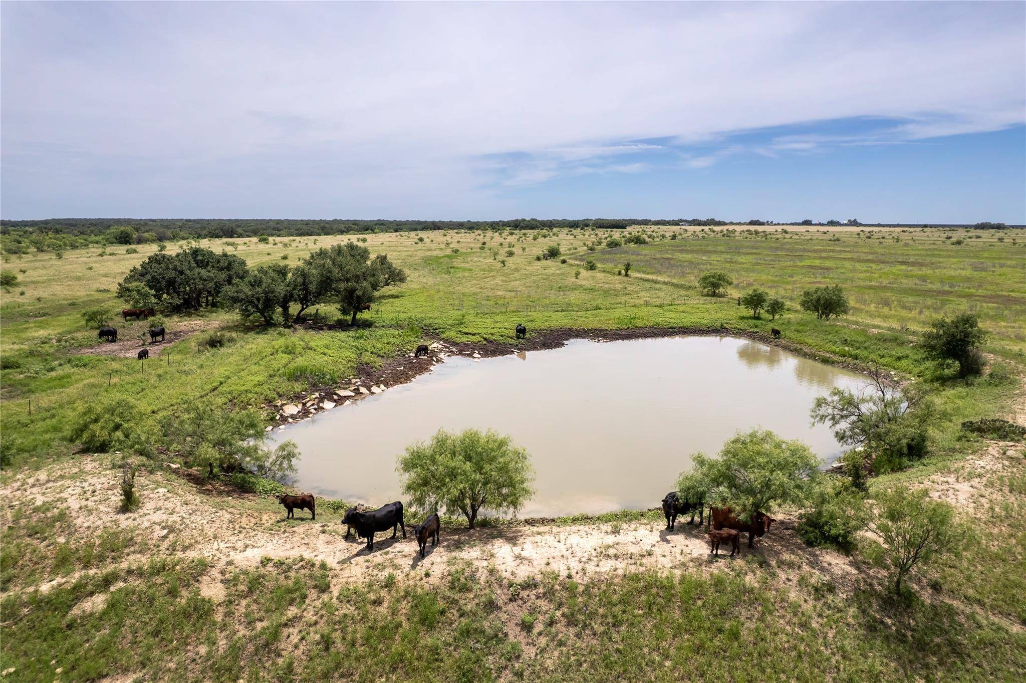 8557 Fm-586, Bangs, TX 76823