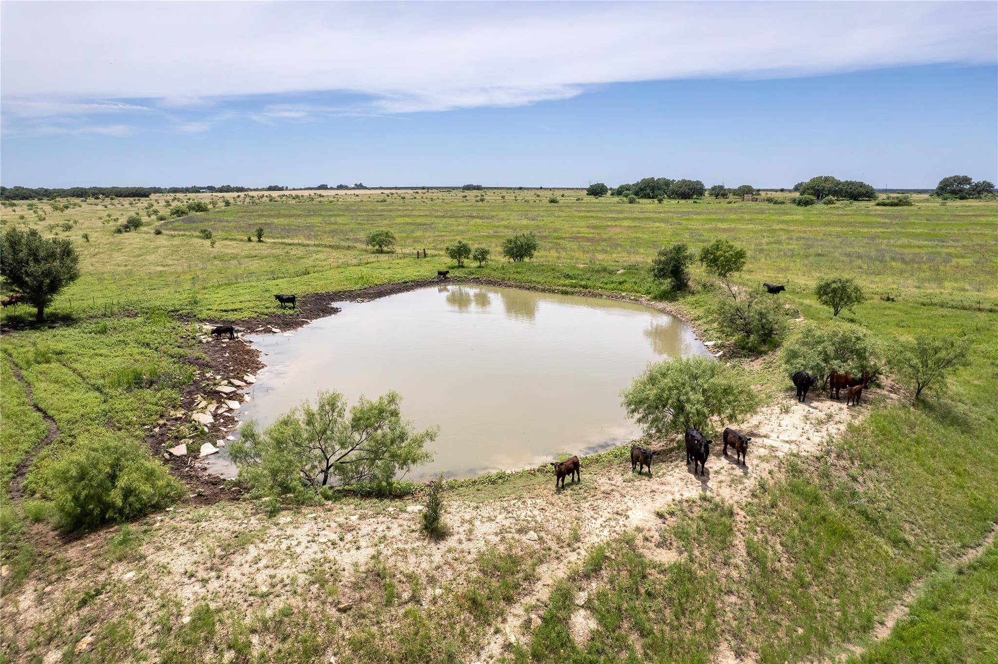 8557 Fm-586, Bangs, TX 76823