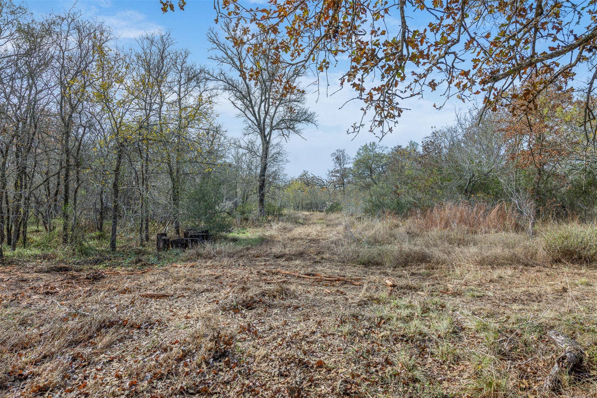 1088 Bugtussle LN, Luling, TX 78648