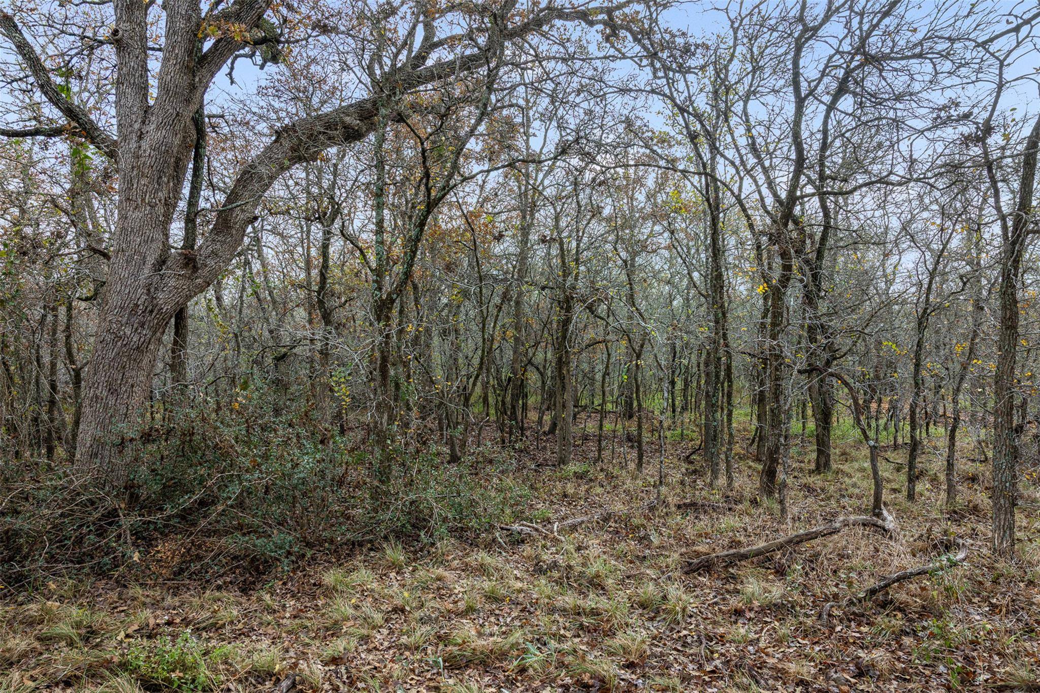 1088 Bugtussle LN, Luling, TX 78648