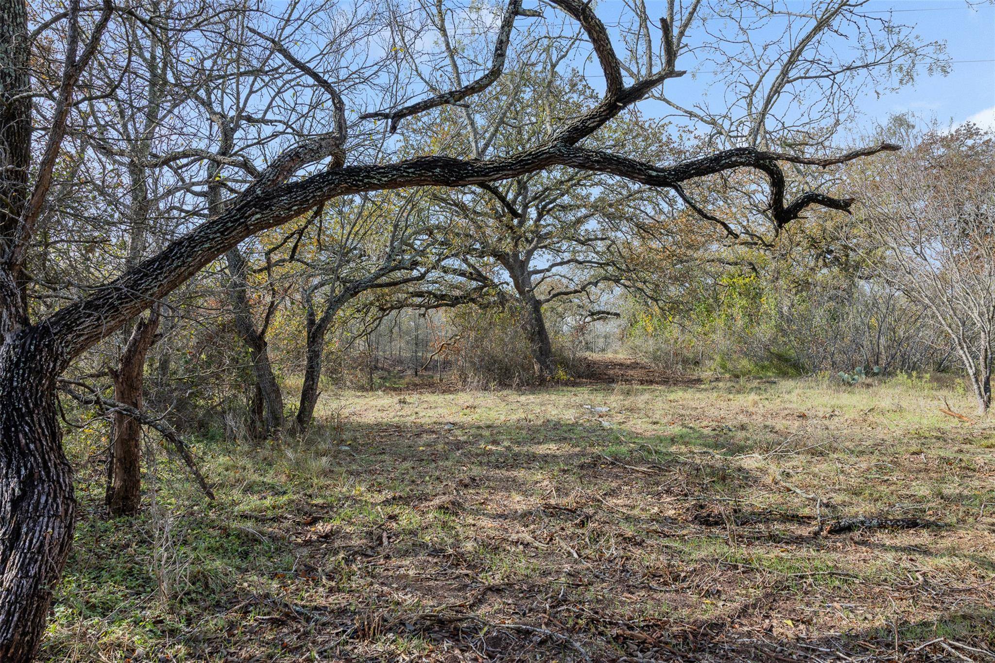 1088 Bugtussle LN, Luling, TX 78648