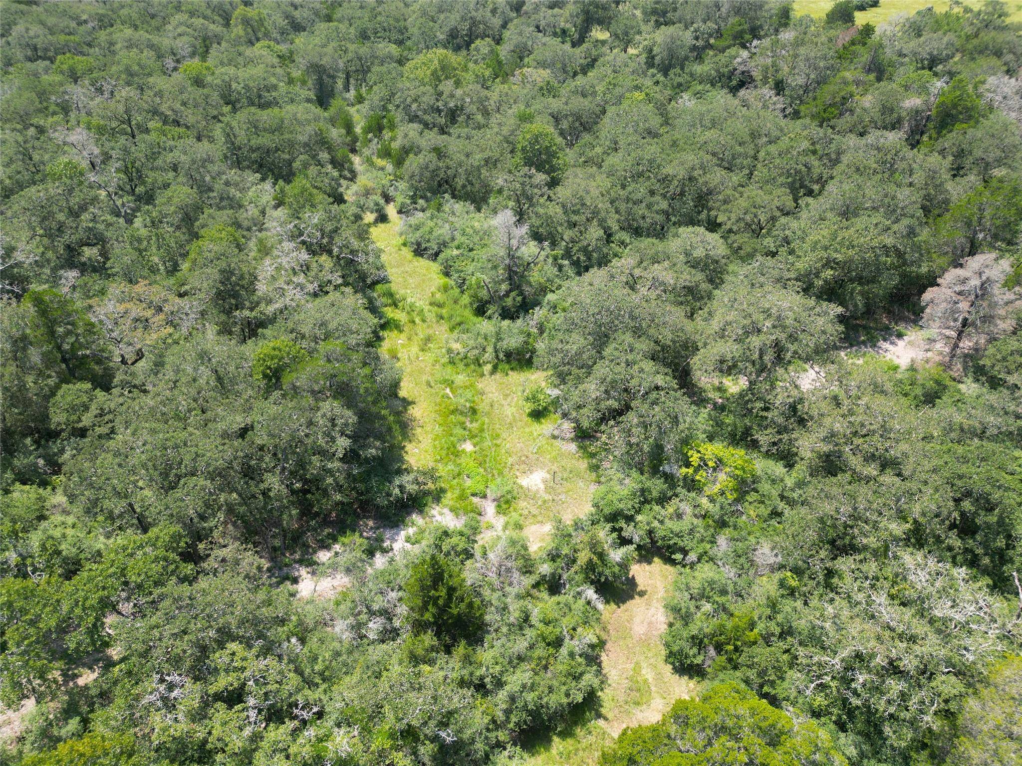 1742 County Road 413 N #TRACT 3, Lexington, TX 78947