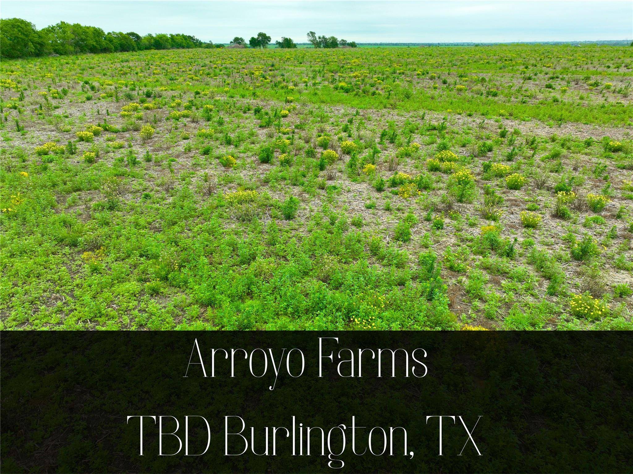 TBD Lot 7, Blk 2 132 RD, Burlington, TX 76518