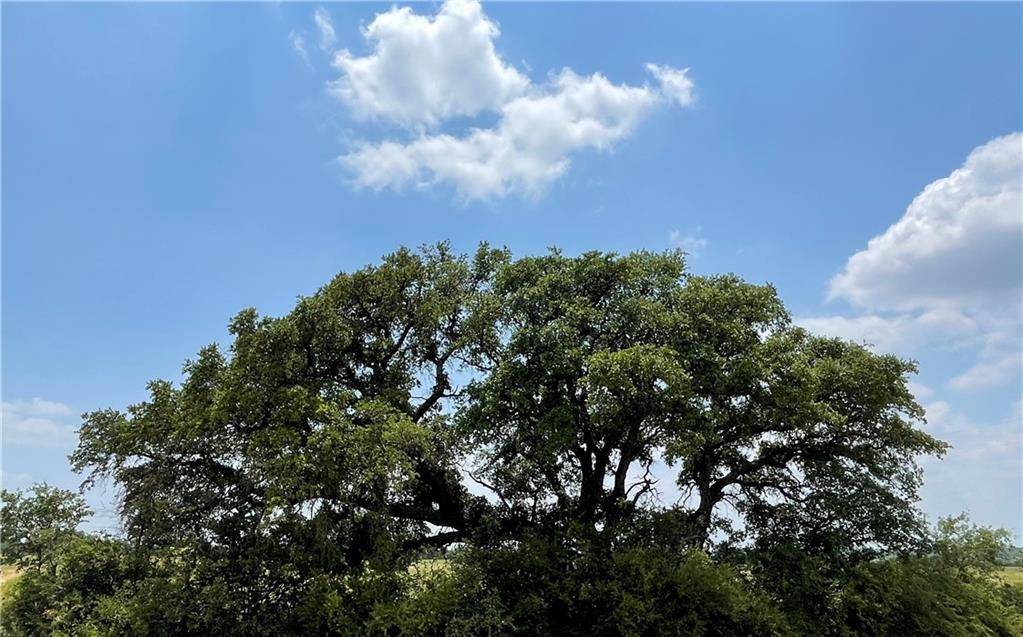 0 377 S. HWY, Brownwood, TX 76827