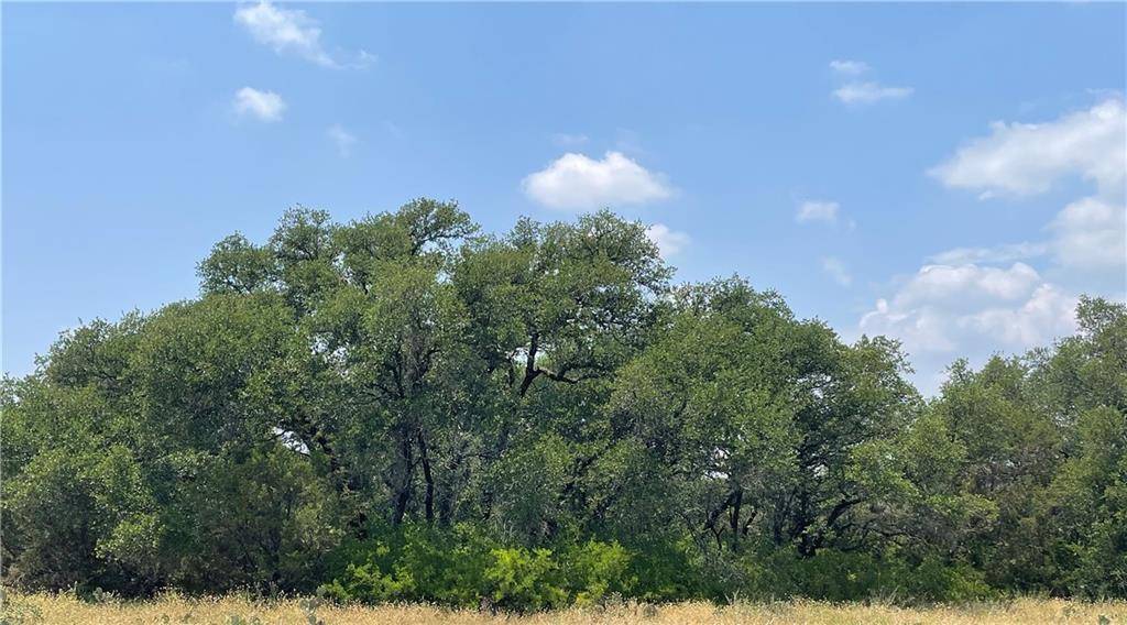 0 377 S. HWY, Brownwood, TX 76827