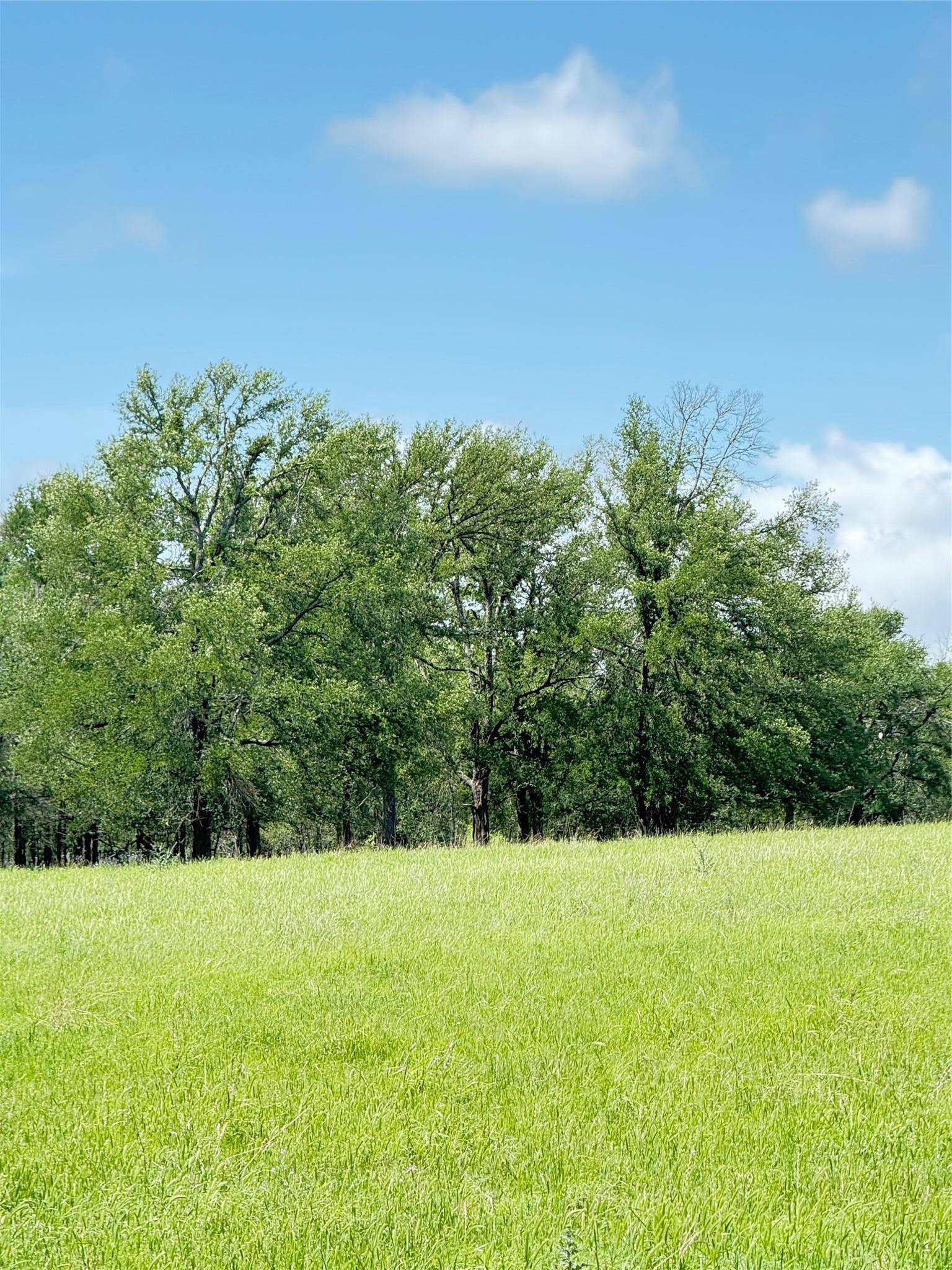 674 County Road 309, Rockdale, TX 76567