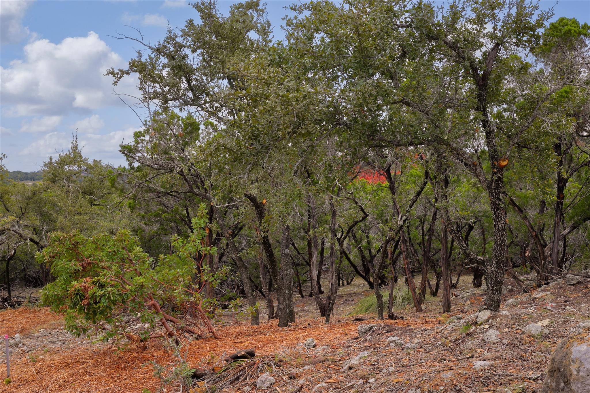 TBD Stagecoach Ranch LOOP, Dripping Springs, TX 78620