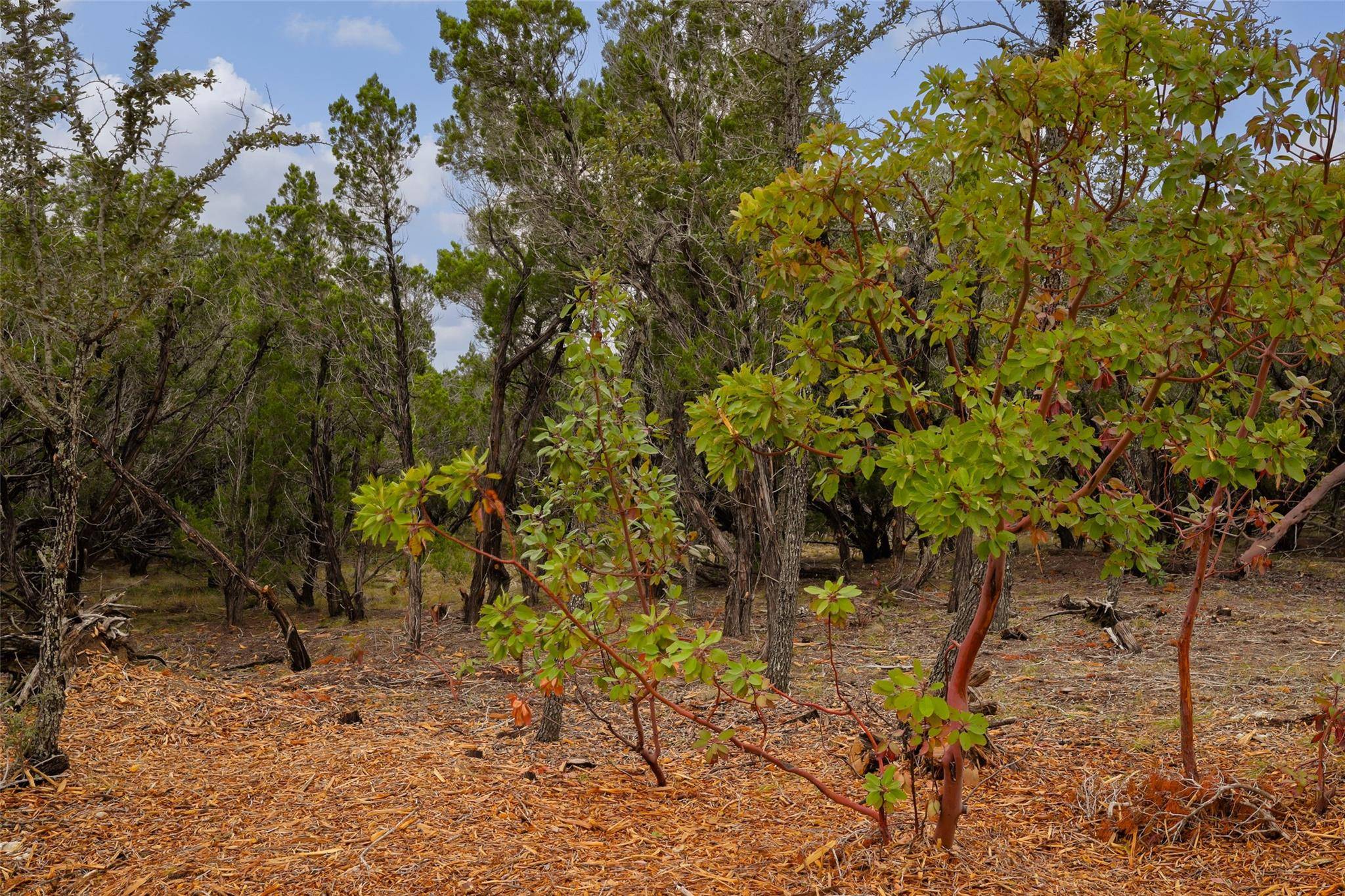 TBD Stagecoach Ranch LOOP, Dripping Springs, TX 78620