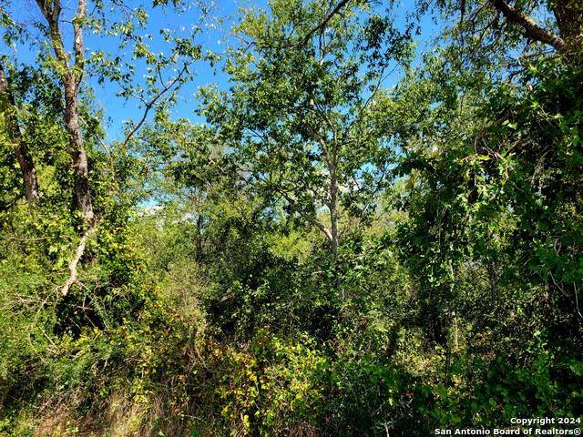 TBD Dale RD, Dale, TX 78616