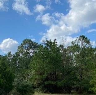 230 Cougar Park RD, Hunt, TX 78024