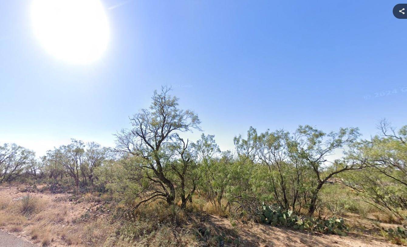 0 DALLAS ST, Colorado City, TX 79512