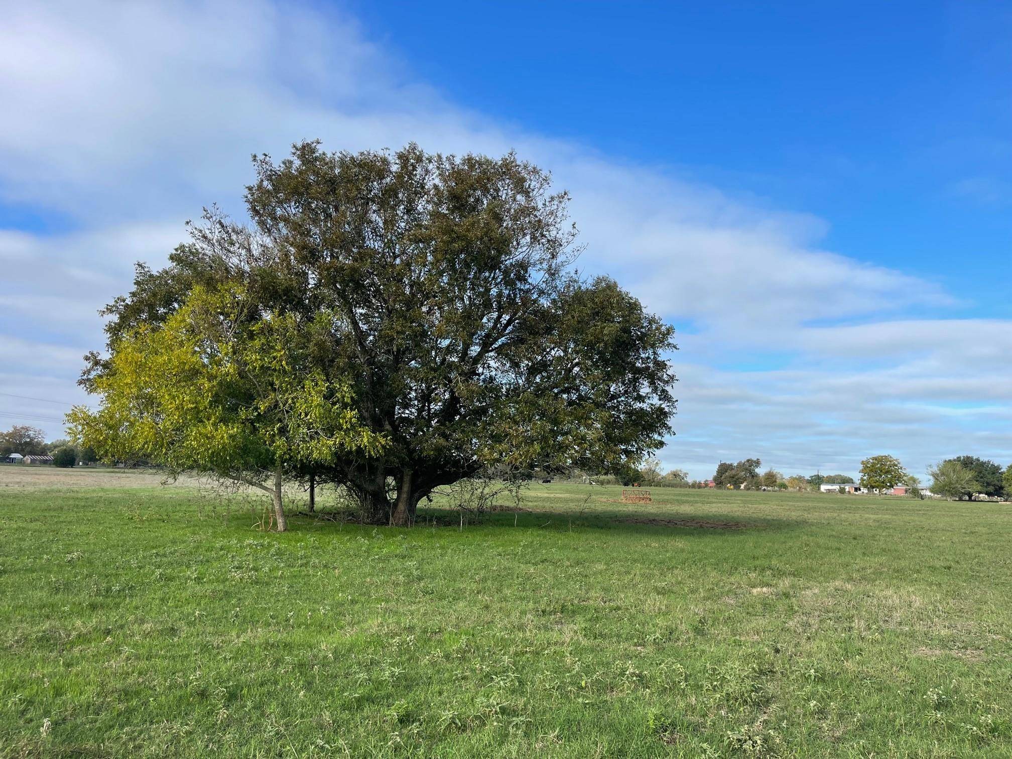 741 Muzny LN, La Grange, TX 78945