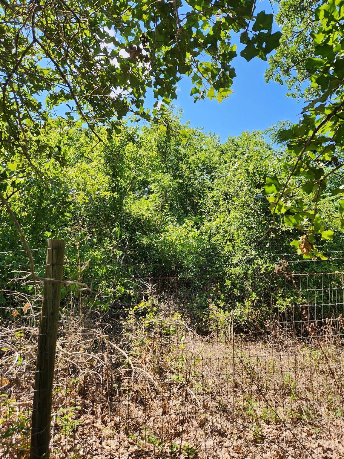 Lot-49 Flaming Oak Drive, Bastrop, TX 78602