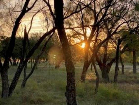 495 Buffalo Creek (Lot 95) DR, Evant, TX 76525