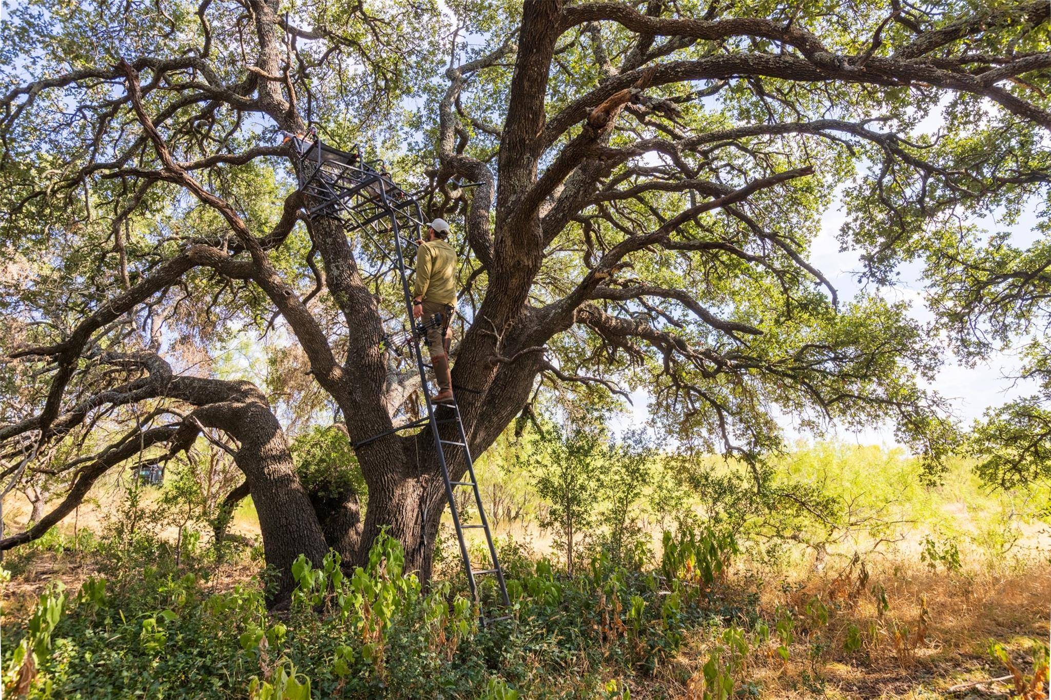 38 County Road 550, Mullin, TX 76864