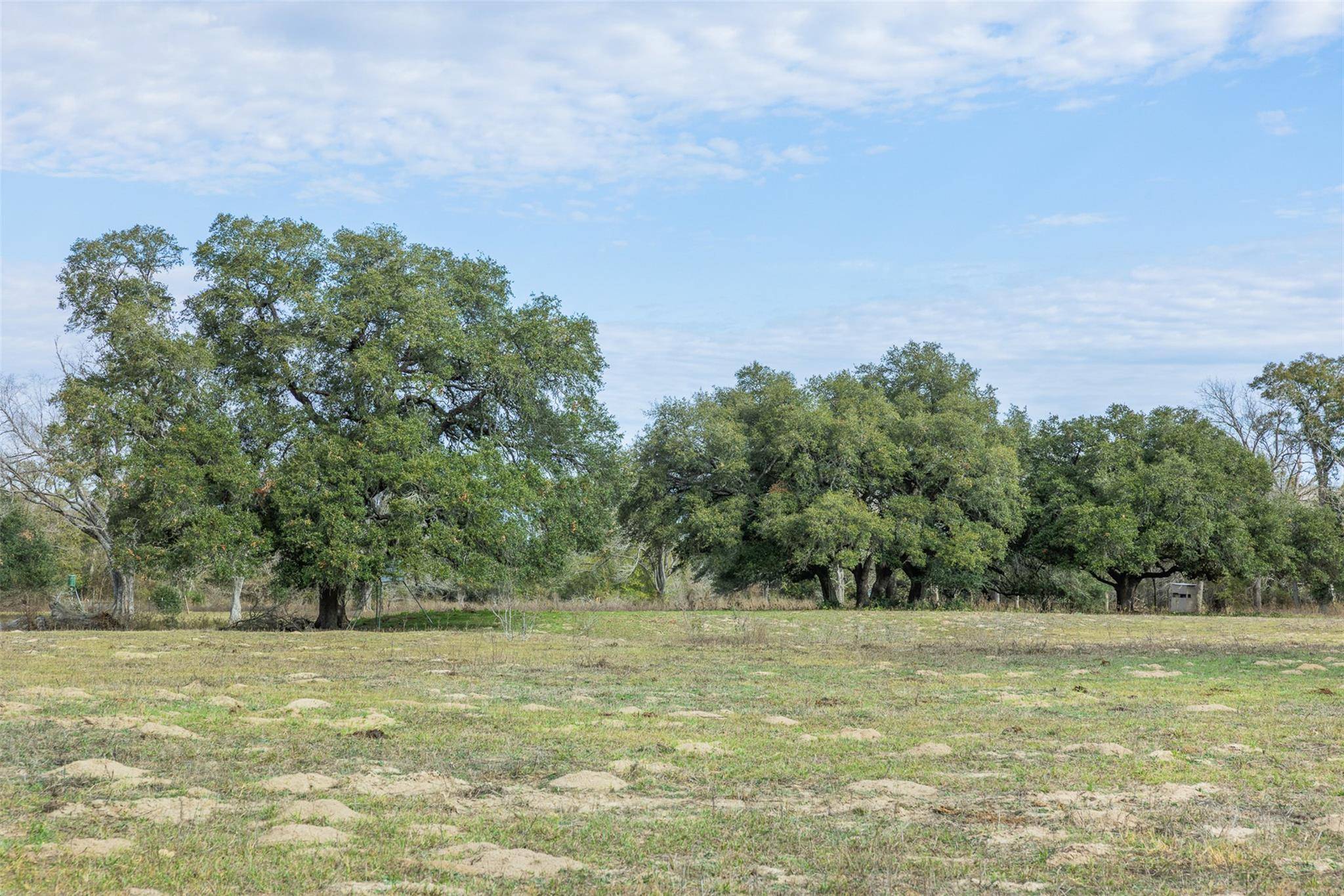 1820 South Old Smithville RD, Flatonia, TX 78941