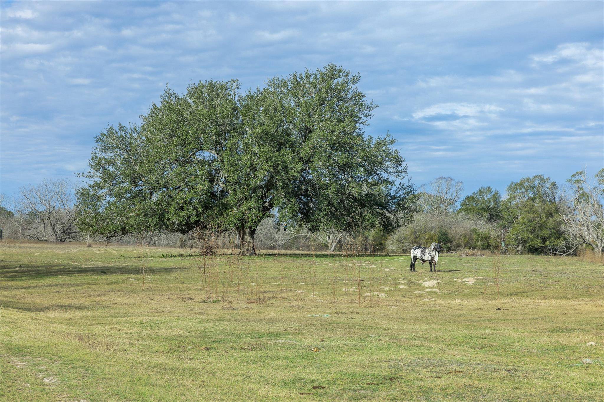 1820 South Old Smithville RD, Flatonia, TX 78941