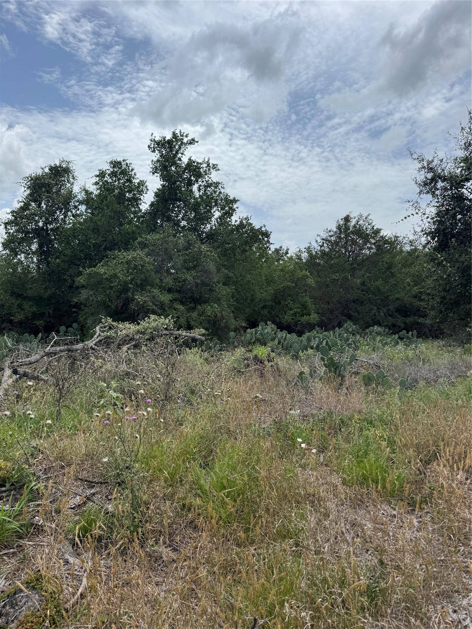 Lot 687 Kawainui LN, Bastrop, TX 78602