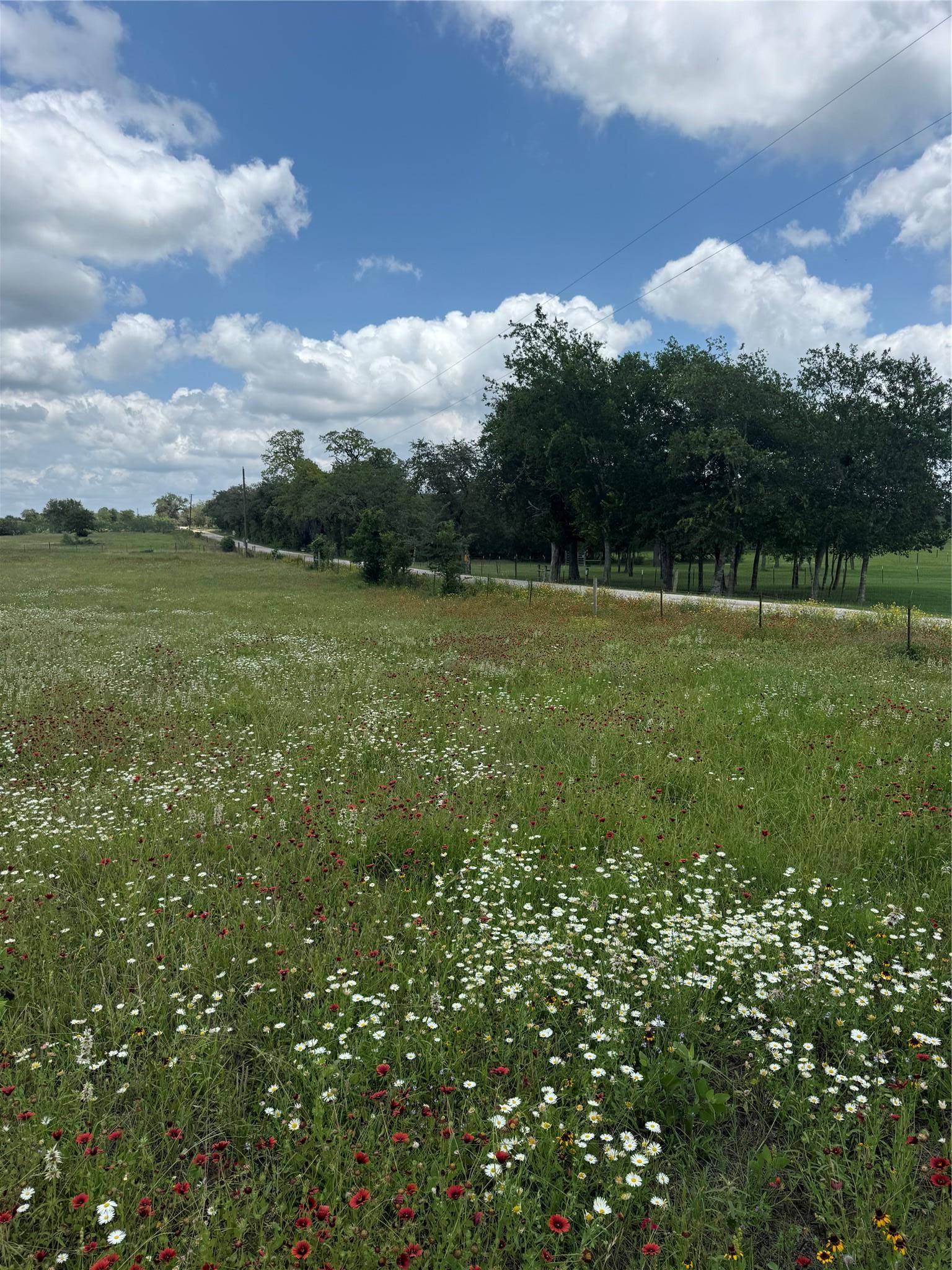 2135 Mule Creek RD, Harwood, TX 78632