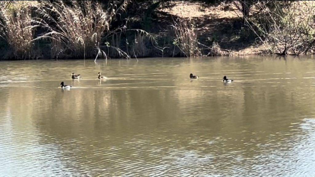 TBD Wetjen LN., West Point, TX 78963