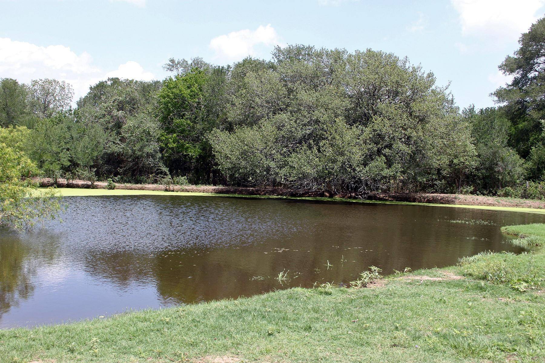 9411 FM 86 HWY, Lockhart, TX 78644