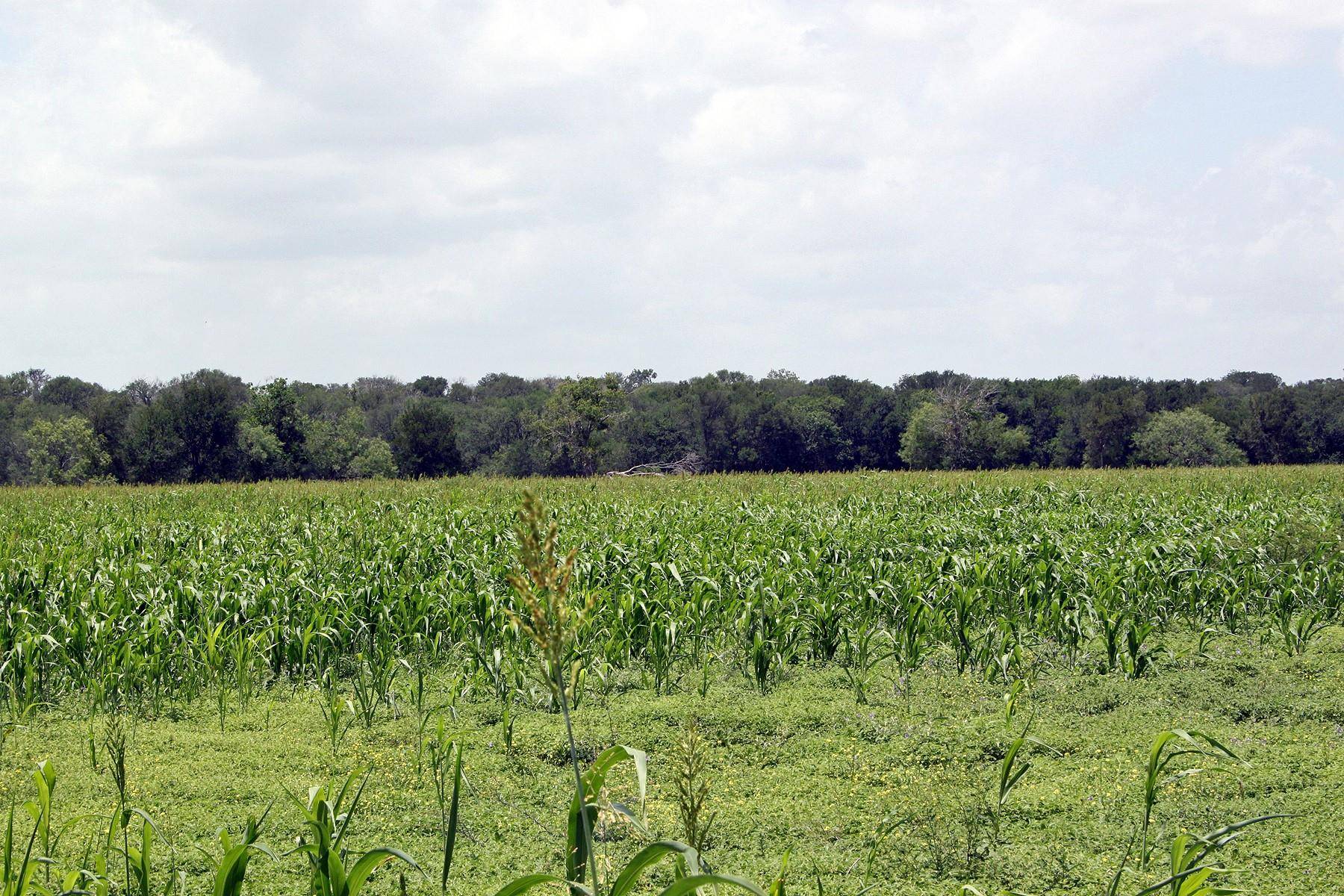 9411 FM 86 HWY, Lockhart, TX 78644