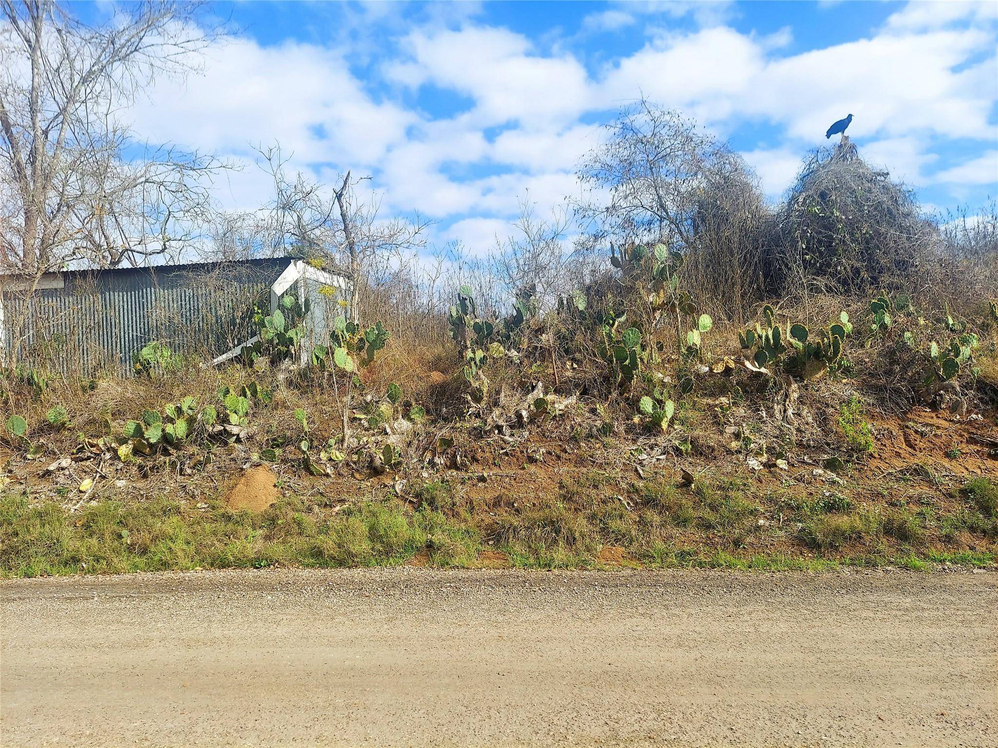 TBD Young RD, Smithville, TX 78957