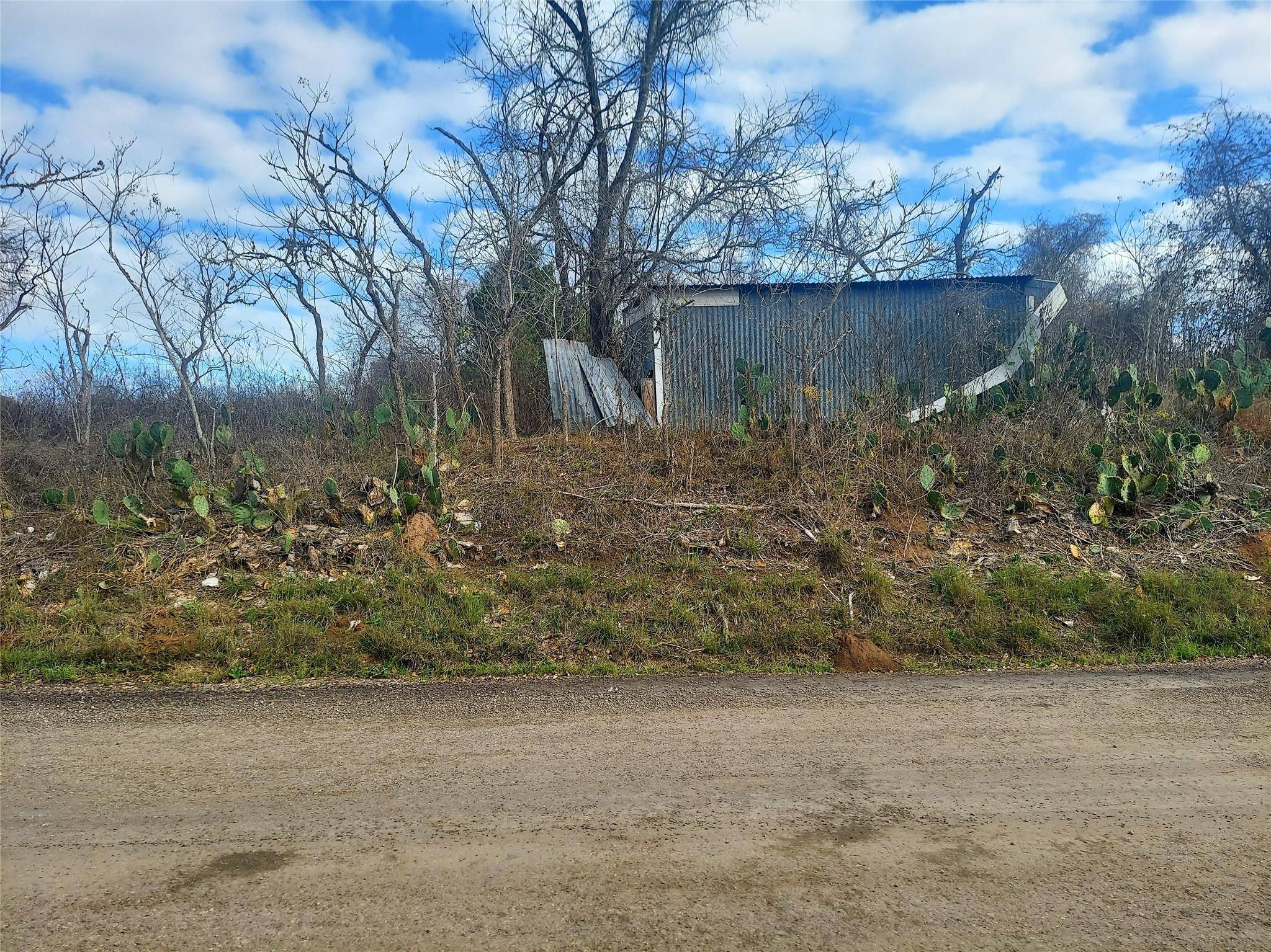 TBD Young RD, Smithville, TX 78957
