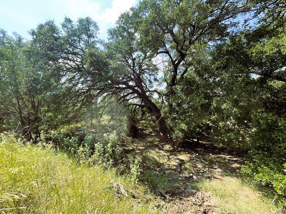 153 Live Oak Mott DR, Goldthwaite, TX 76844