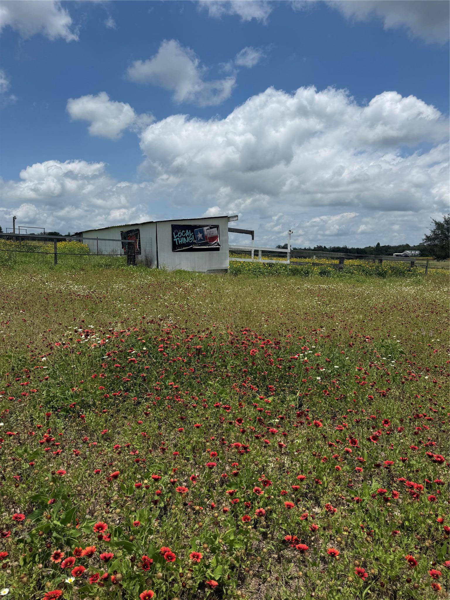 2135 Mule Creek RD, Harwood, TX 78632