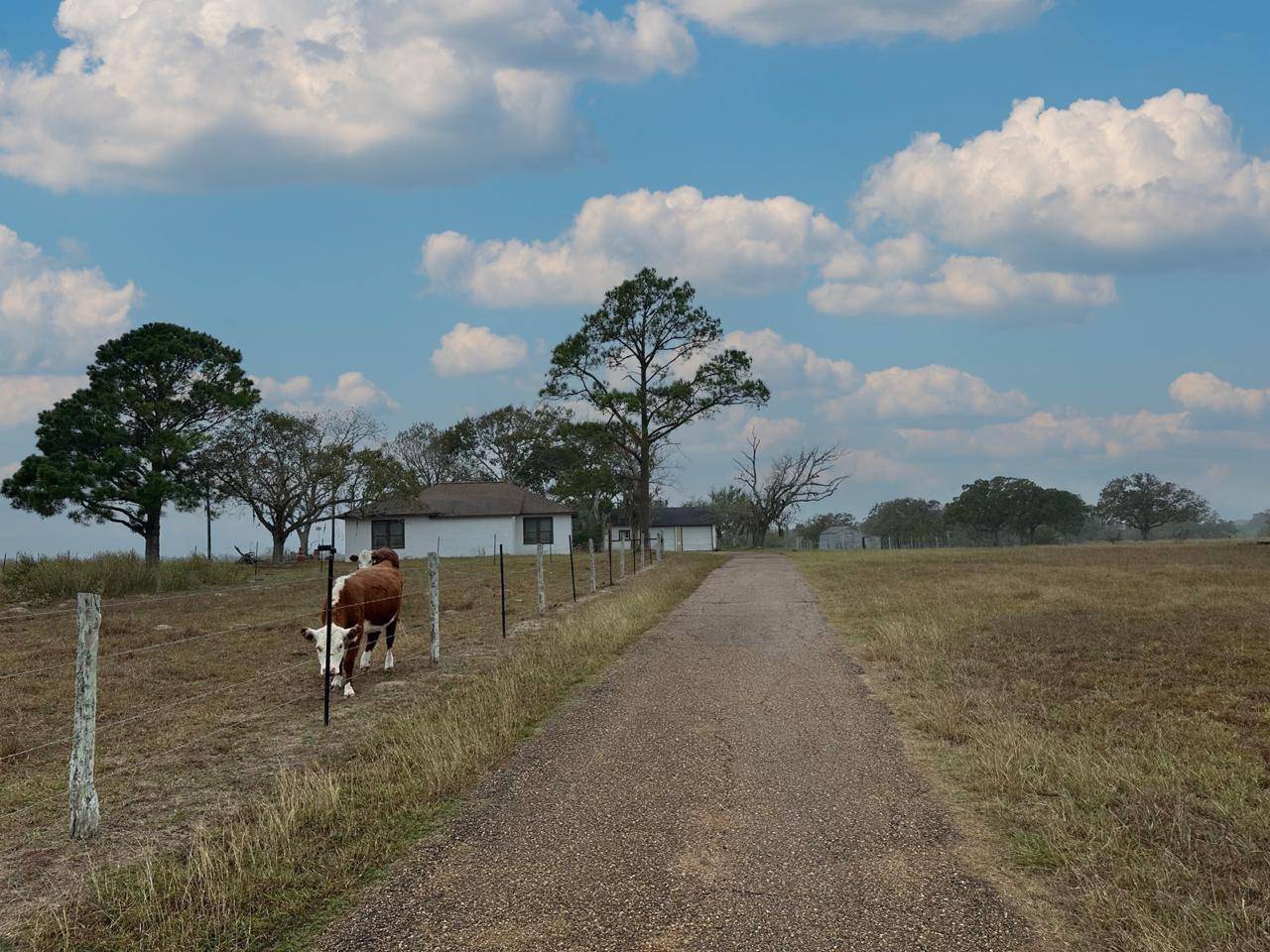 1696 E Fm 884, Yorktown, TX 78164