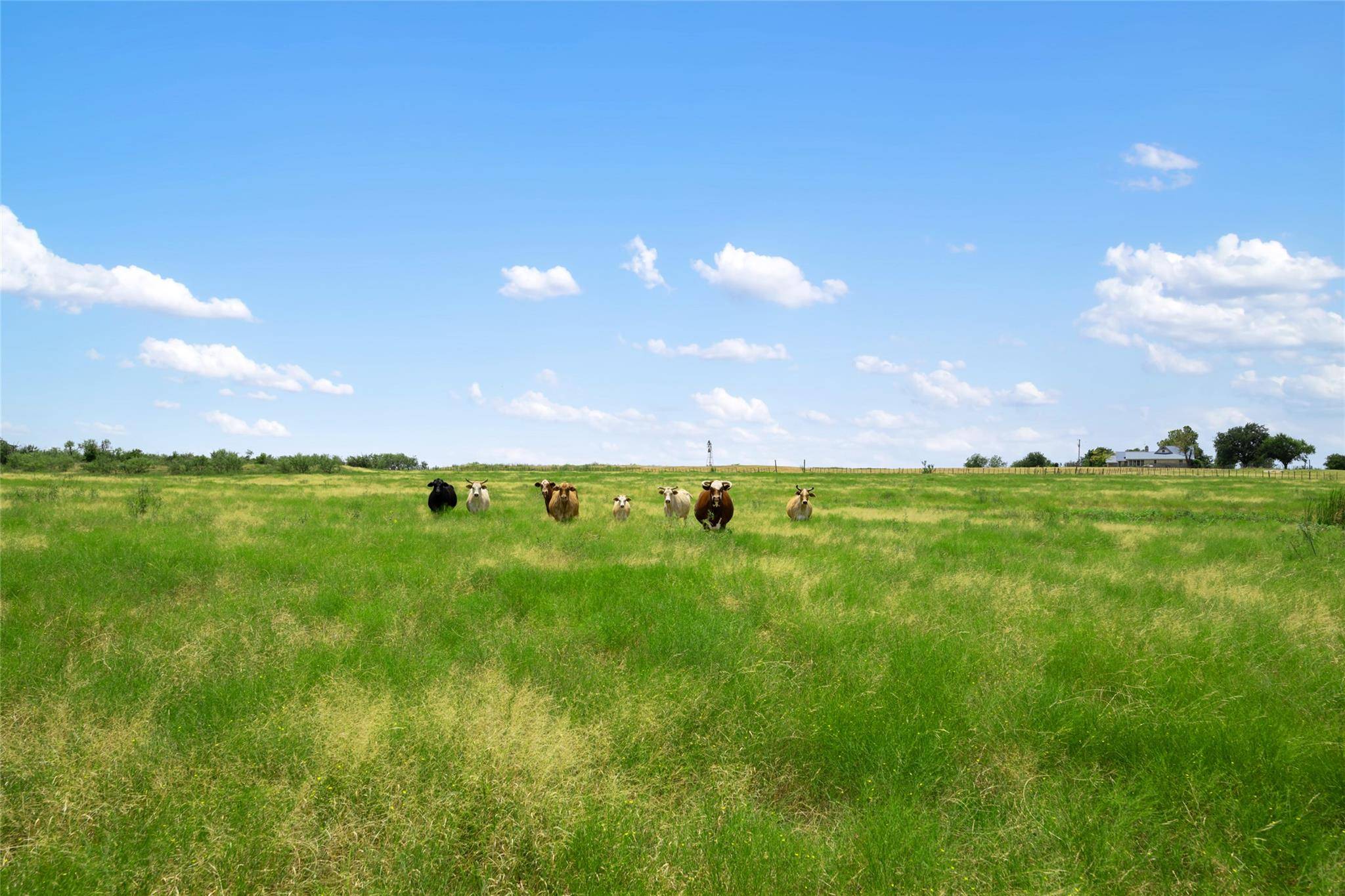 1775 County Road 305 RD, Jarrell, TX 76537