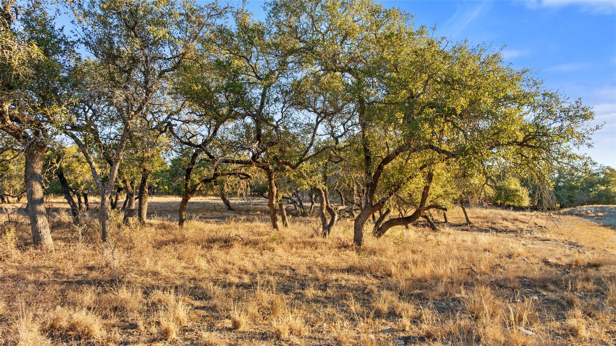 1422-10 RM 2766, Johnson City, TX 78636