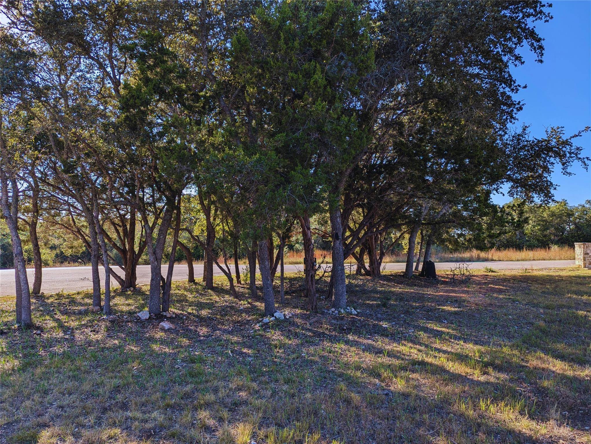 541 Onion Creek LN, Driftwood, TX 78619