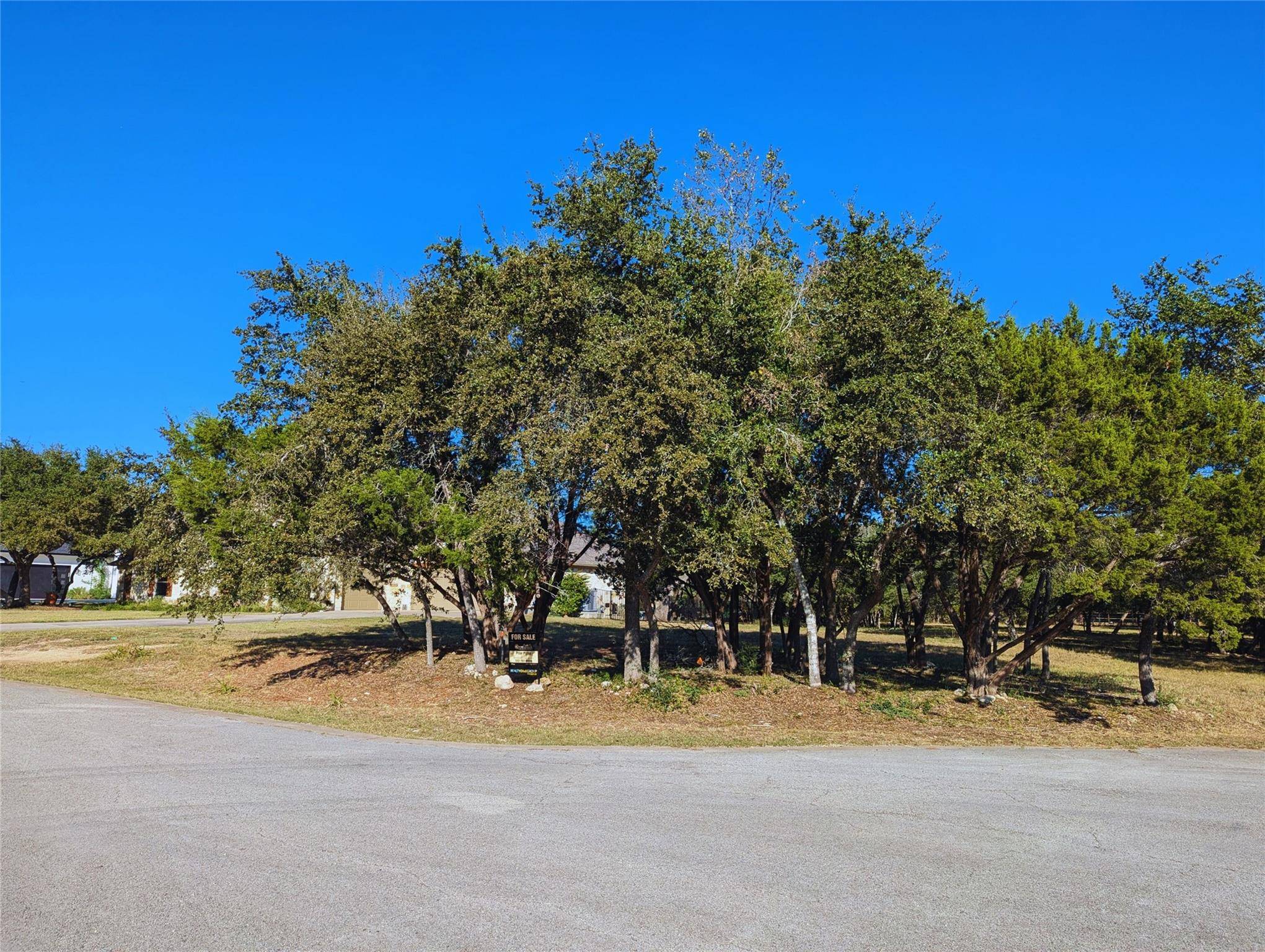 541 Onion Creek LN, Driftwood, TX 78619