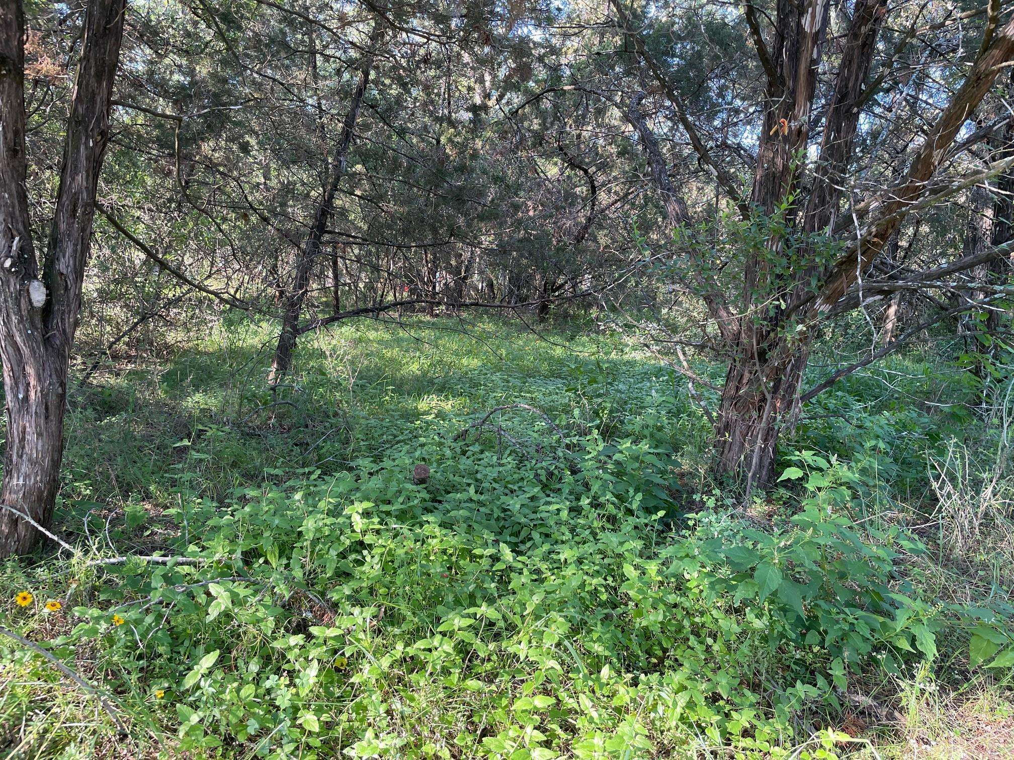 Lot 423 Indian Summer, Spicewood, TX 78669