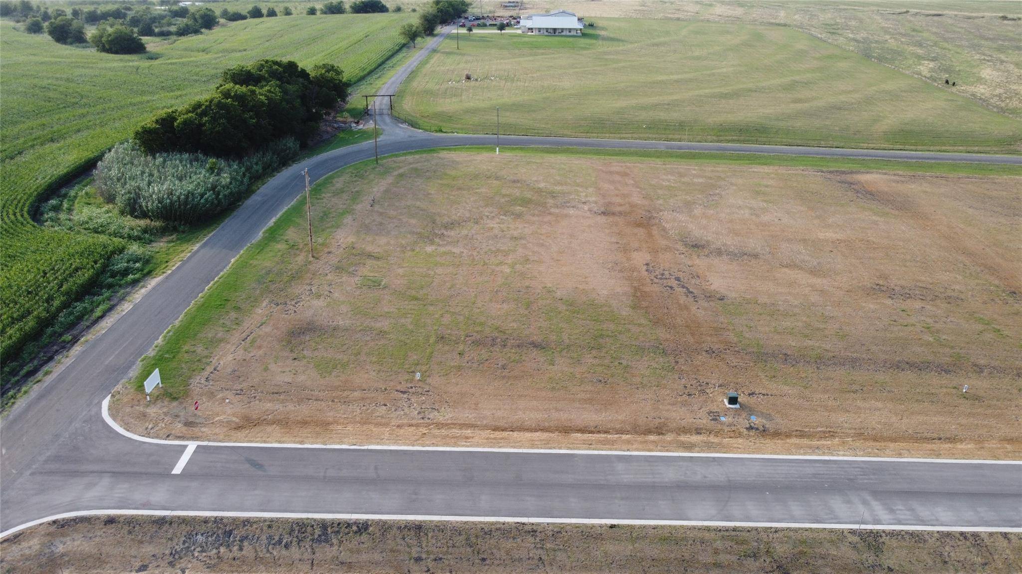 205 Tigerlily WAY, Thrall, TX 76578