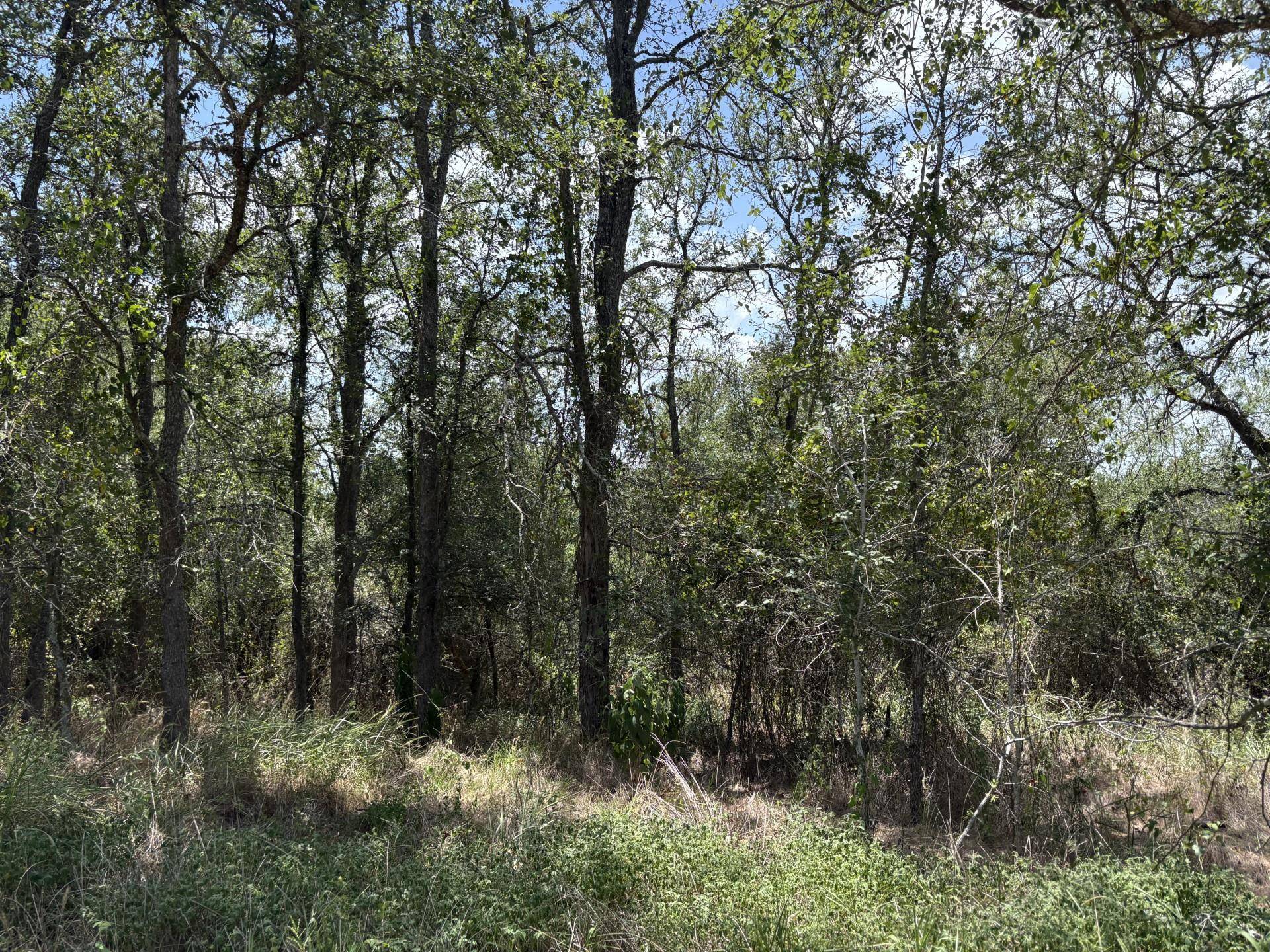 TBD Honolulu LN, Bastrop, TX 78602