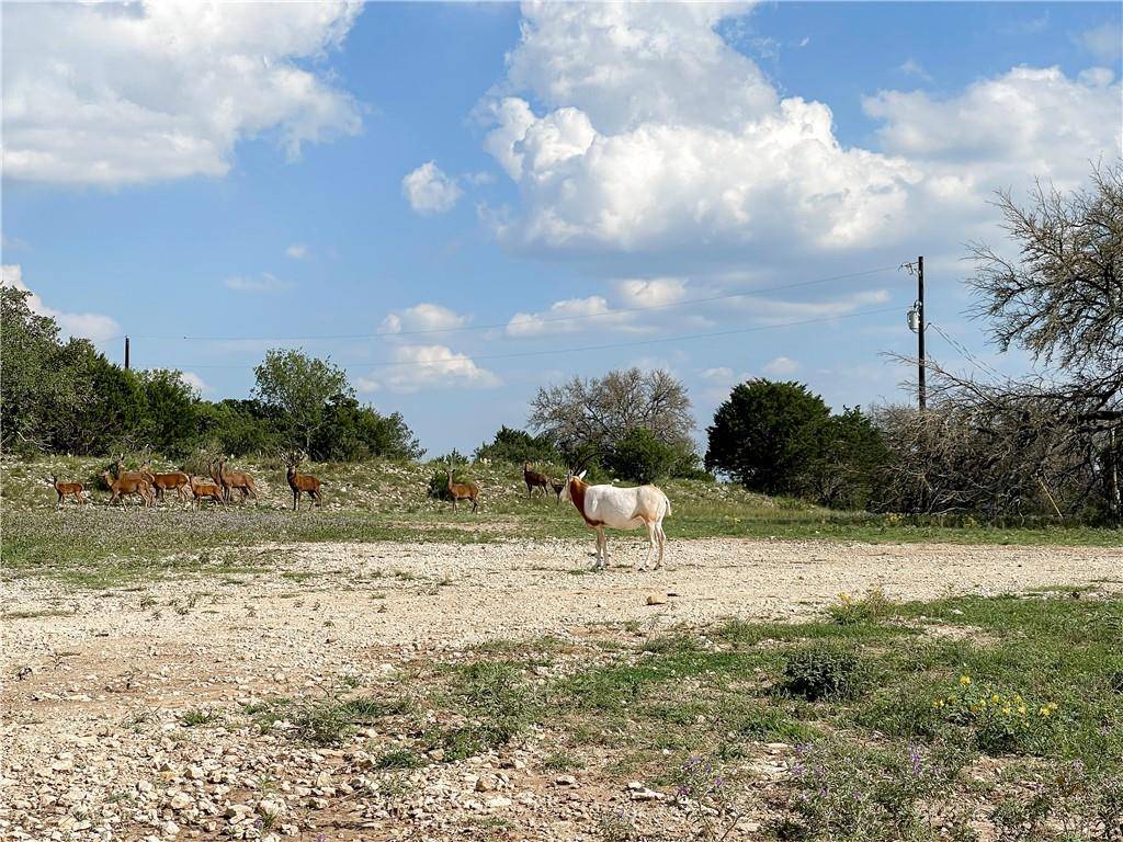 000 River Shoals DR #Lot 109, Kempner, TX 76539