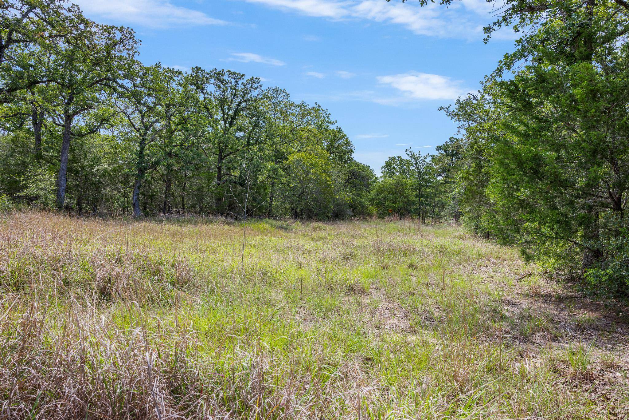 TBD Anders-Daniels RD, La Grange, TX 78945