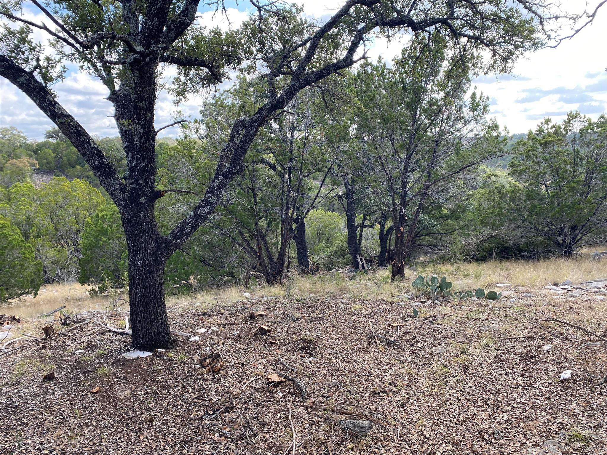 Lot 85, Seven Springs R. Spring XING, Junction, TX 76849
