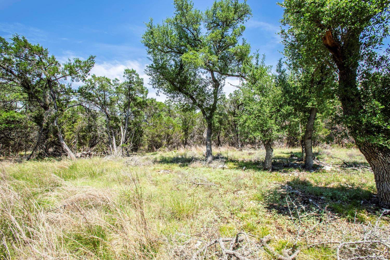 41 Persimmon DR, Wimberley, TX 78676