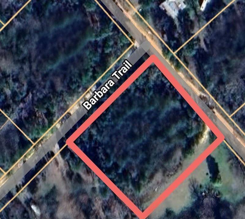 133 Barbara TRL, Livingston, TX 77351