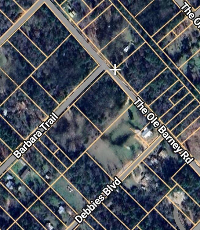 133 Barbara TRL, Livingston, TX 77351